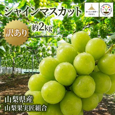 ふるさと納税 笛吹市 【2026年先行受付】山梨県産 匠のシャイン
