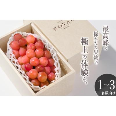 ふるさと納税 甲州市 [先行予約2026年]甲州市産 大粒サンシャインレッド 1房入(約630g)