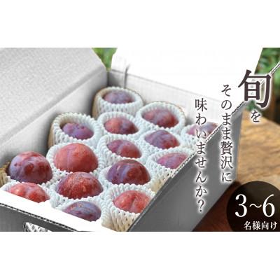 ふるさと納税 南アルプス市 [先行予約2026年]南アルプス市産 貴陽 約3kg(12~15個入)