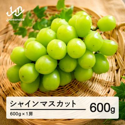 ふるさと納税 山辺町 [先行予約]シャインマスカット 秀品 1房(約600g)令和8年産 ns-busmx600