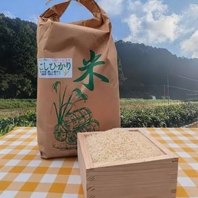 ふるさと納税 鏡野町 令和7年産 コシヒカリ 精米(5kg×1袋) 鏡野町入地区産