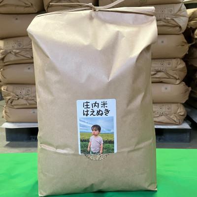 ふるさと納税 三川町 [令和7年産]ecofarmすがわらの庄内米はえぬき(精米)10kg(5kg×2袋)PS5-021
