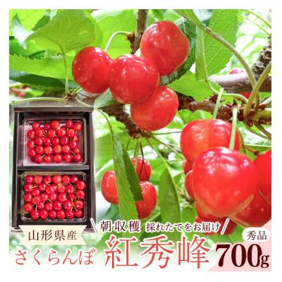 ふるさと納税 寒河江市 令和8年産 朝穫り!寒河江市産さくらんぼ 紅秀峰 700g 秀品 [Re:Farmやまがた]