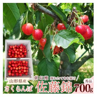 ふるさと納税 寒河江市 令和8年産 朝穫り!寒河江市産さくらんぼ 佐藤錦 700g 秀品 [Re:Farmやまがた]