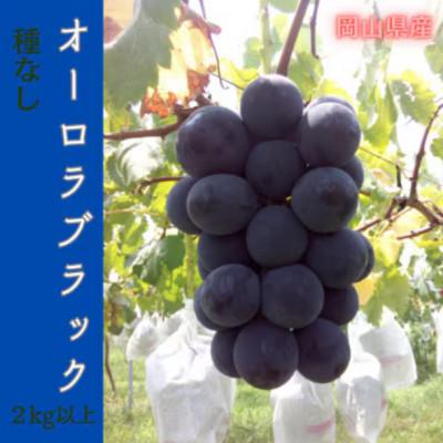 ふるさと納税 津山市 [2026年先行予約]岡山のぶどう(オーロラブラック)2kg(4〜5房)