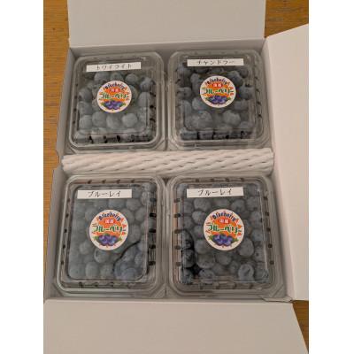 ふるさと納税 長野市 ブルーベリーミックス 計500g