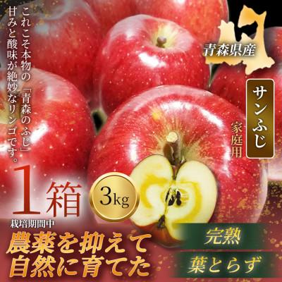 ふるさと納税 青森市 [青森直送 季節の味覚をお届け!]サンふじ 3kg×1箱(家庭用)青森産 産地直送 限定生産