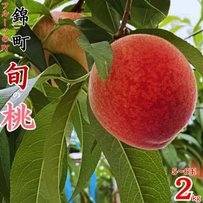 ふるさと納税 錦町 旬の桃 約2kg(5〜6玉)[先行予約 2026年6月上旬〜発送予定][梨桃工房](錦町)