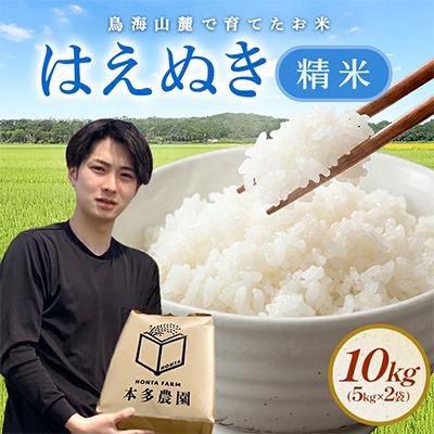 ふるさと納税 酒田市 はえぬき 精米 10kg(5kg×2袋) 令和8年産米 山形県酒田産 | 