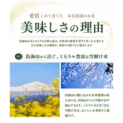 ふるさと納税 酒田市 はえぬき 精米 10kg(5kg×2袋) 令和8年産米 山形県酒田産 |  | 02