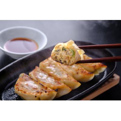 ふるさと納税 女川町 三陸産ほたてを使った[ほたてガーリック餃子12個入]×3パック
