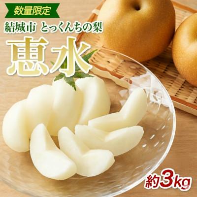 ふるさと納税 結城市 [2026先行予約]数量限定 とっくんちの梨「恵水」約3kg