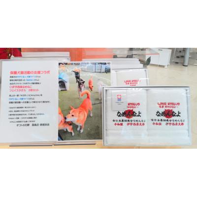 ふるさと納税 西条市 保護犬猫活動支援コラボ 今治タオルブランド認定品 伊予西条なめねこタオル フェイスタオル 2枚セット