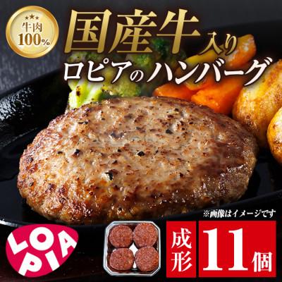 ふるさと納税 春日市 [春日市限定]ロピアの牛肉100%国産牛入りハンバーグ 140g×11個