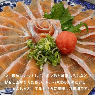 ふるさと納税 茅野市 冷凍 八ヶ岳信州サーモン 150g×5パック_3