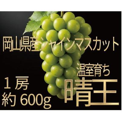 ふるさと納税 浅口市 [HS]ぶどう 2026年 先行予約 7月〜8月発送 温室シャインマスカット晴王 1房約600g