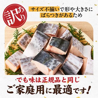 ふるさと納税 泉佐野市 【お弁当サイズ】さわら 切身 約50g×10切れ 小分け 500g 訳あり |  | 01