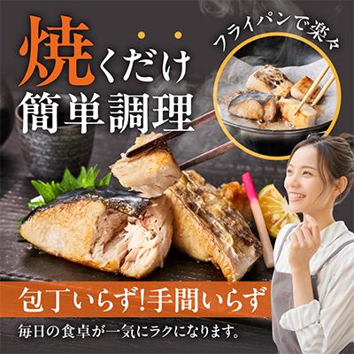 ふるさと納税 泉佐野市 【お弁当サイズ】さわら 切身 約50g×10切れ 小分け 500g 訳あり |  | 03