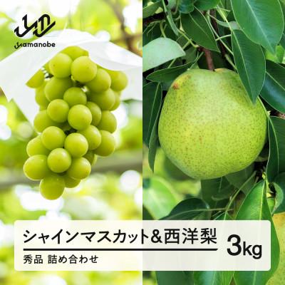 ふるさと納税 山辺町 [先行予約]2026年産シャインマスカット&amp;西洋梨 秀品詰め合わせ3kg ns-fssyx3