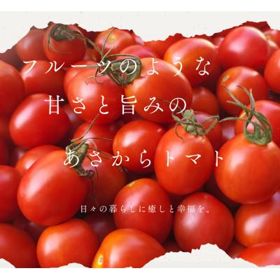 ふるさと納税 三豊市 香川農園の完熟ミニトマト1.5kg