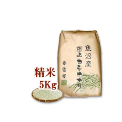ふるさと納税 十日町市 魚沼産コシヒカリ非BL米 精米 計5kg