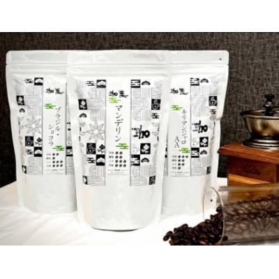 ふるさと納税 三木市 自家焙煎 人気珈琲豆 3種セット(マンデリン、キリマンジャロAA、ブラジル・ショコラ)[挽]