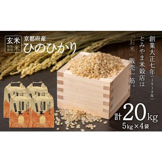ふるさと納税 木津川市 特別栽培米 京都府木津川市産ひのひかり 玄米 