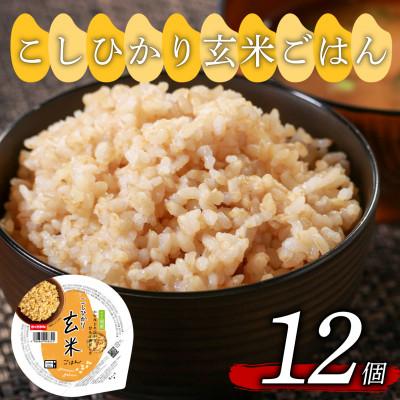 ふるさと納税 松原市 こしひかり玄米ごはん 160g×12個