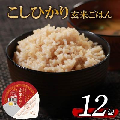 ふるさと納税 松原市 こだわり玄米ごはん120g×12個