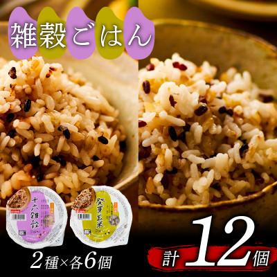 ふるさと納税 松原市 雑穀ごはんアソートセット2種 160g×12個(発芽玄米ごはん・十六雑穀ごはん 各6個)