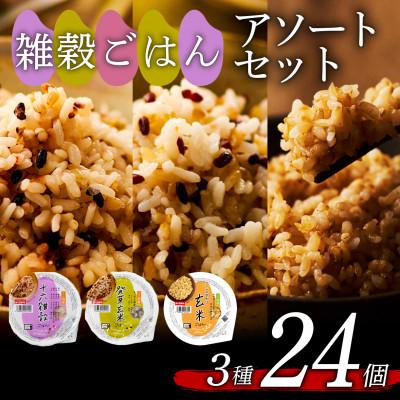 ふるさと納税 松原市 雑穀ごはんアソートセット3種 160g×24個(十六雑穀・発芽玄米・こしひかり玄米 各8個)