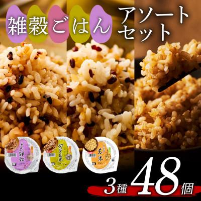 ふるさと納税 松原市 米匠庵 雑穀ご飯3種アソート 160g×48個 十六雑穀・発芽玄米・コシヒカリ玄米 各16個 松原市