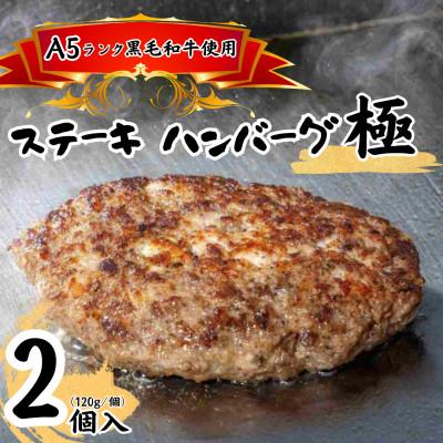 ふるさと納税 春日部市 黒毛和牛A5ランクステーキハンバーグ極 120g×2食