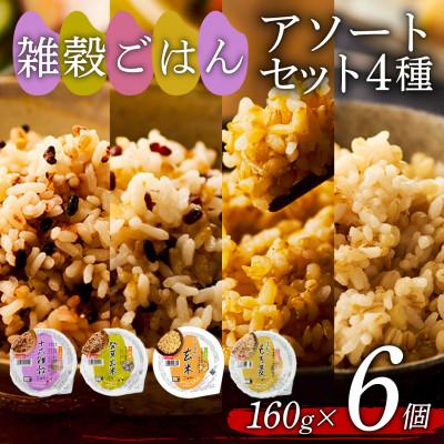 ふるさと納税 松原市 雑穀ごはんアソートセット4種 160g×6個(十六雑穀・発芽玄米・こしひかり玄米・もち麦)