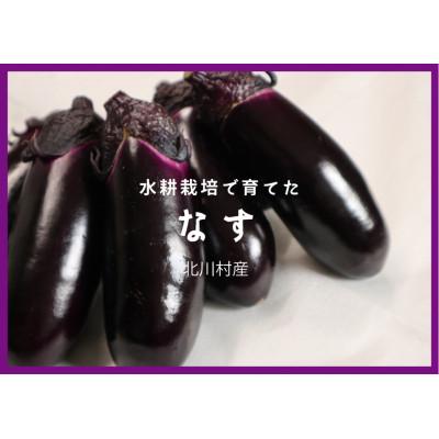 ふるさと納税 北川村 北川村の茄子 2kg