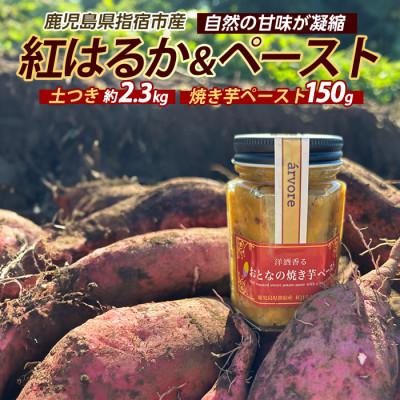 ふるさと納税 指宿市 紅はるか約2.3kg・おとなの焼き芋ペースト1瓶セット (010-2077)