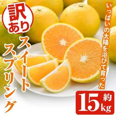 ふるさと納税 阿久根市 訳あり スイートスプリング 約15kg[松永青果]akn053-41