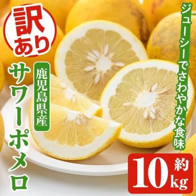 ふるさと納税 阿久根市 訳あり サワーポメロ 約10kg[2026年1月以降順次発送][松永青果]akn053-16