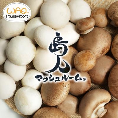 ふるさと納税 糸満市 島人マッシュルームセット (ホワイト・ブラウン100g×各2セット)