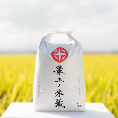 ふるさと納税 新庄市 [令和7年産][最上ノ米蔵]山形県産「コシヒカリ」精米 5kg×2袋 計10kg