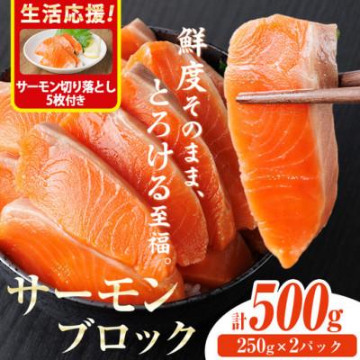 ふるさと納税 門川町 生食用サーモンブロック(500g)サーモン切り落とし付き