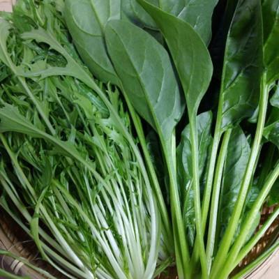 ふるさと納税 京丹後市 【先行予約】京丹後冬鍋野菜セット(2026年11月上旬〜発送) |  | 01