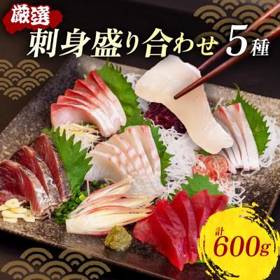 ふるさと納税 須崎市 刺身 5種盛合せ 冷凍