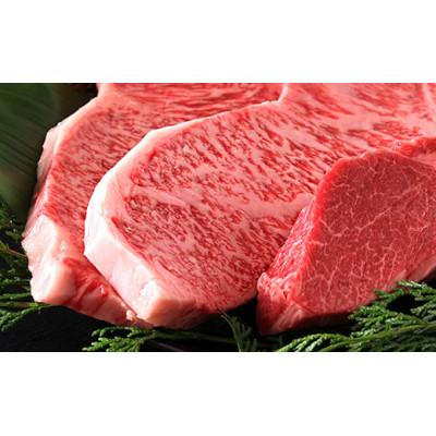 ふるさと納税 丹波篠山市 丹波篠山 肉の東門 牛至宝のサーロイン・ヘレステーキセット 3枚入