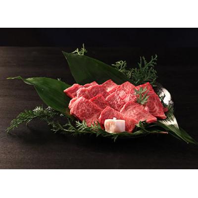 ふるさと納税 丹波篠山市 丹波篠山 肉の東門 牛至宝の焼き肉セット 500g×1P 牛脂付き