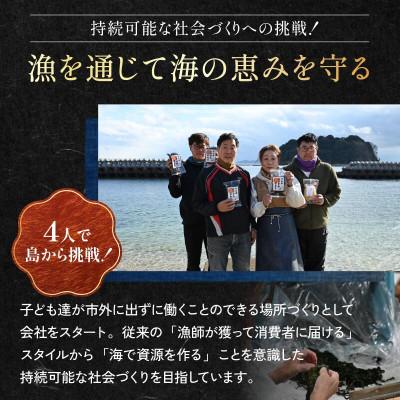 ふるさと納税 今治市 【村上水産】今治産しまなみひじき 1袋 [V002510] |  | 01