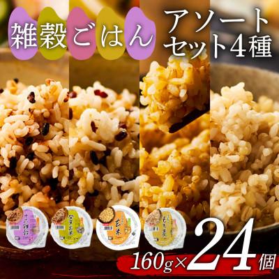 ふるさと納税 松原市 米匠庵 雑穀ご飯4種セット 160g×24個 十六雑穀・発芽玄米・コシヒカリ玄米・生姜もち麦 各6個