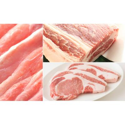 ふるさと納税 綾川町 讃岐もち豚 ローススライス・テキカツ・ブロック 各1kgセット 