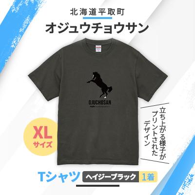 ふるさと納税 平取町 [競馬グッズ][オジュウチョウサン]Tシャツ[XLサイズ]ヘイジーブラック