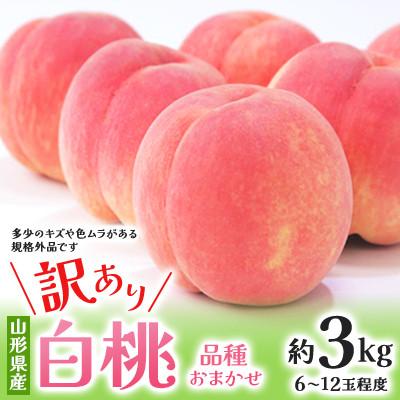 ふるさと納税 中山町 [2026年度先行予約]☆フルーツ王国山形☆ご自宅用白桃 約3kg(6〜12玉) 品種おまかせ